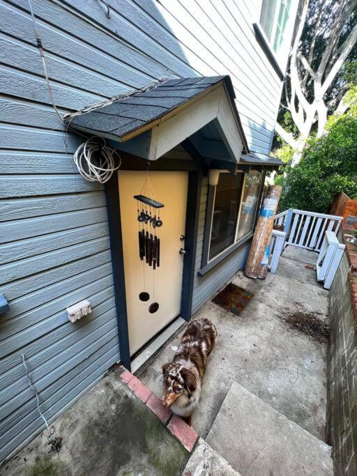 Lower Duplex, Huge Yard, Fenced Holiday home